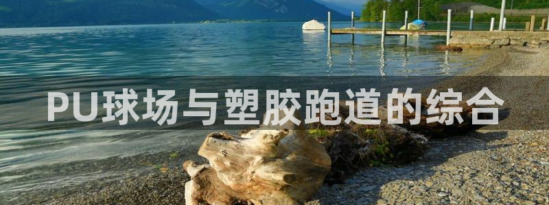 尊龙娱官网赢来就送38：PU球场与塑胶跑道的综合