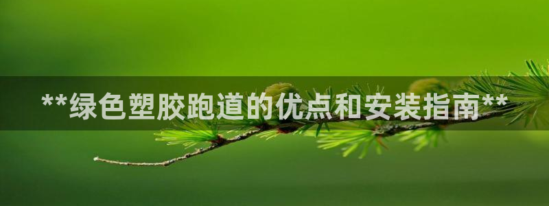 尊龙游戏官方网：**绿色塑胶跑道的优点和安装指南**