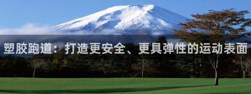 尊龙凯时官网登录入口：塑胶跑道：打造更安全、更具弹性