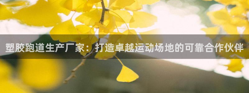 尊龙凯时app安装：塑胶跑道生产厂家：打造卓越运动场地的可靠合作伙伴