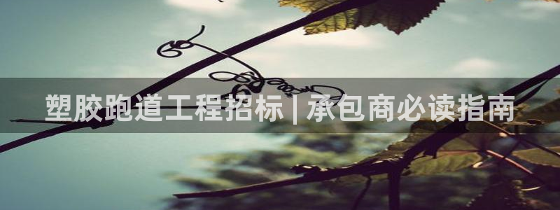凯时官网手机版下载：塑胶跑道工程招标 | 承包商必读