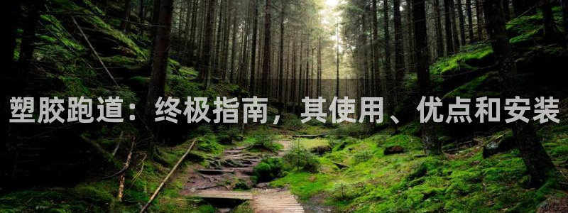 尊龙凯时ag旗舰：塑胶跑道：终极指南，其使用、优点和安装