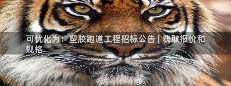 尊龙凯时人生就是搏平台：可优化为：塑胶跑道工程招标公