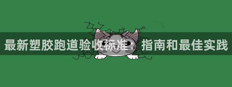 尊龙ktv怎么样：最新塑胶跑道验收标准：指南和最佳实践