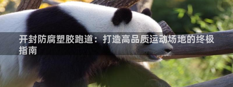 尊龙d88现金可来就送38：开封防腐塑胶跑道：打造高品质运动场地的终极
指南