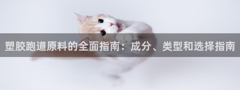 尊龙 10：塑胶跑道原料的全面指南：成分、类型和选择