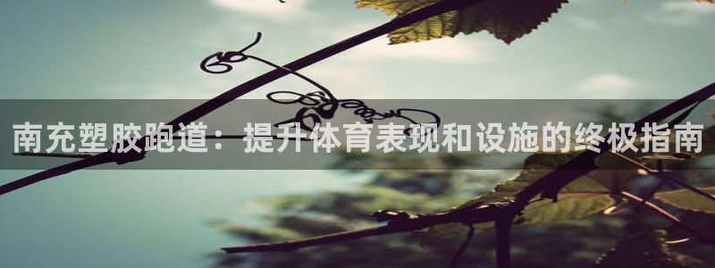 尊龙d88官网确来就送38：南充塑胶跑道：提升体育表现和设施的终极指南