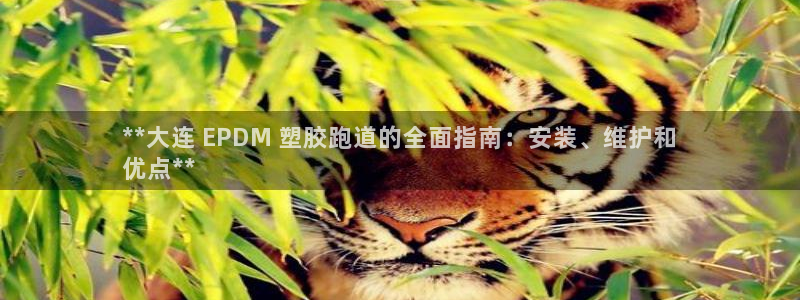 尊龙凯时官方下载：**大连 EPDM 塑胶跑道的全面指南：安装、维护和
优点**