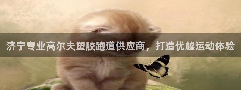 尊龙凯时国际：济宁专业高尔夫塑胶跑道供应商，打造优越
