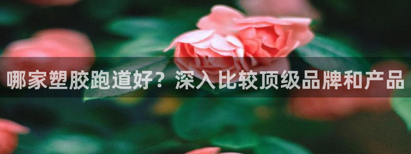 凯时k66娱乐登录：哪家塑胶跑道好？深入比较顶级品牌和产品