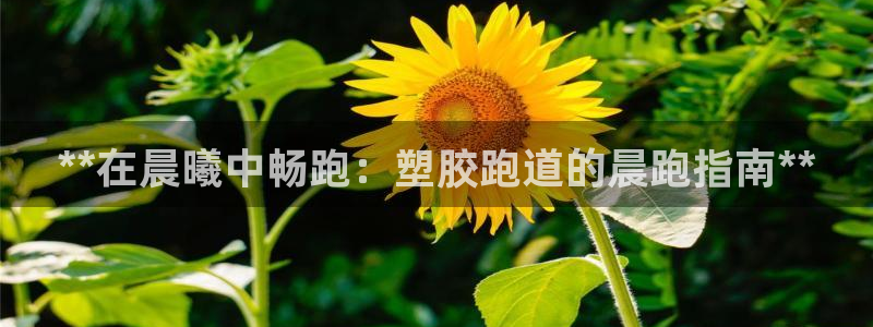 凯时国际网站域名：**在晨曦中畅跑：塑胶跑道的晨跑指南**