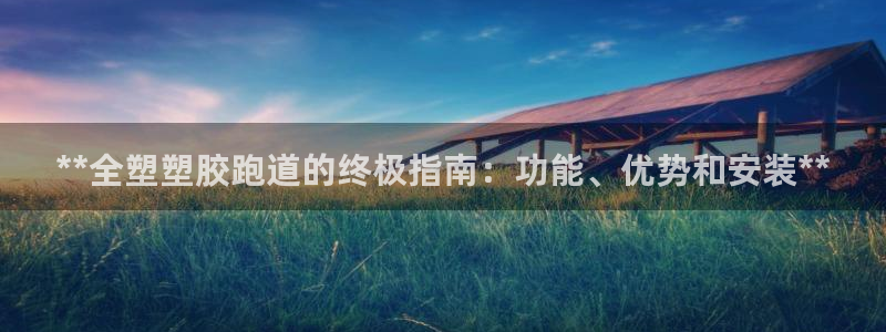 尊龙人生就是博登录首页：**全塑塑胶跑道的终极指南：功能、优势和安装**
