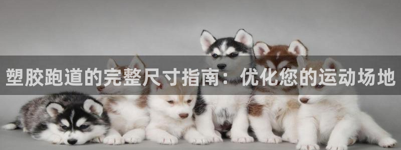 尊龙ag旗舰厅登录 租车app下载：塑胶跑道的完整尺寸指南：优化您的运动场地