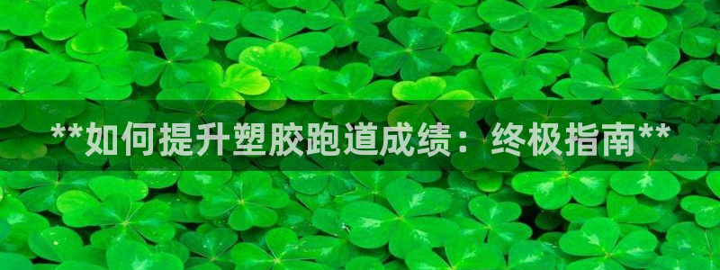 尊龙凯时推荐人：**如何提升塑胶跑道成绩：终极指南*