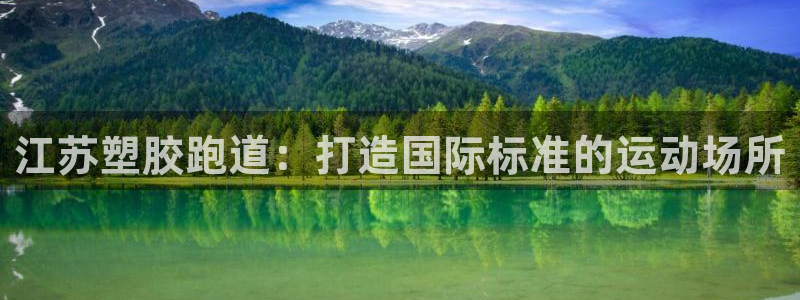 d88尊龙官方网：江苏塑胶跑道：打造国际标准的运动场所