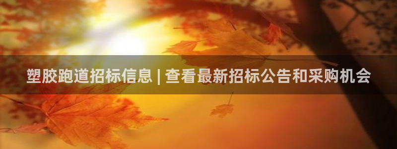 尊龙凯时登入首页：塑胶跑道招标信息 | 查看最新招标公告和采购机会