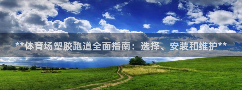 尊龙手机官方客户端下载安装：**体育场塑胶跑道全面指南：选择、安装和维护**