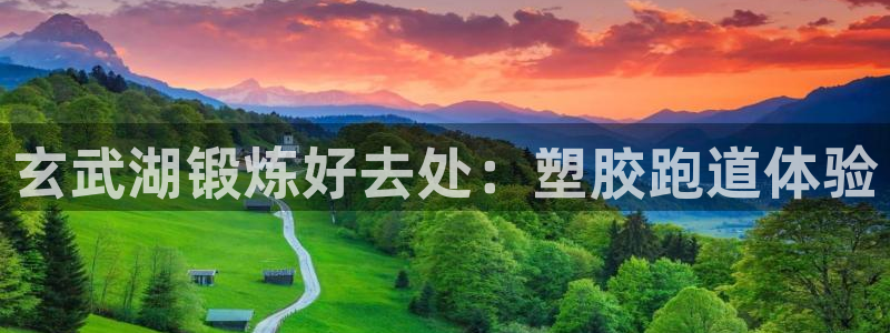 尊龙王t400：玄武湖锻炼好去处：塑胶跑道体验