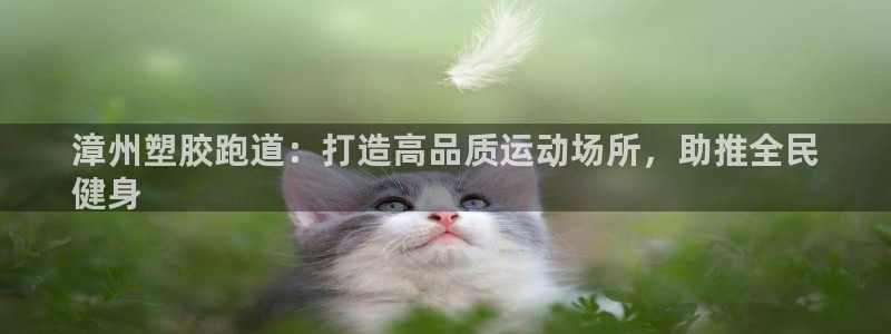 尊龙人生就是博官网登录手机：漳州塑胶跑道：打造高品质运动场所，助推全民
健身