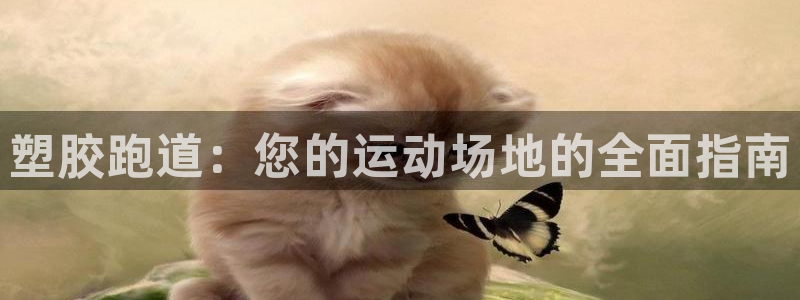 尊龙手机官方客户端下载：塑胶跑道：您的运动场地的全面指南