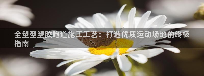 尊龙凯时 - 人生就是搏!：全塑型塑胶跑道施工工艺：