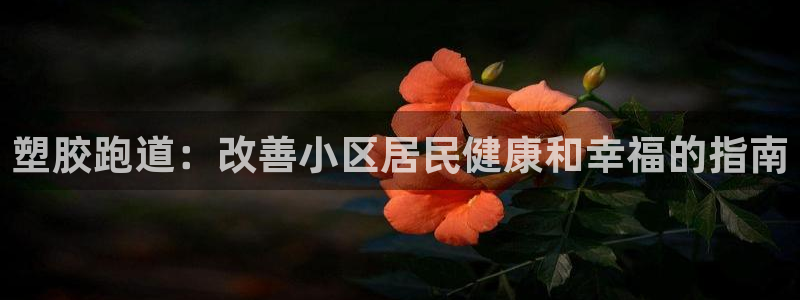 尊龙凯时法拉币：塑胶跑道：改善小区居民健康和幸福的指南