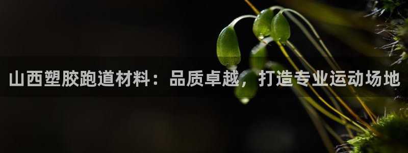 尊龙ag：山西塑胶跑道材料：品质卓越，打造专业运动场