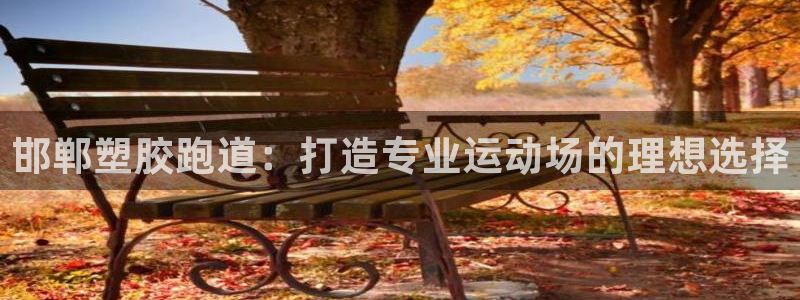 国际凯时ag优质运营商：邯郸塑胶跑道：打造专业运动场的理想选择