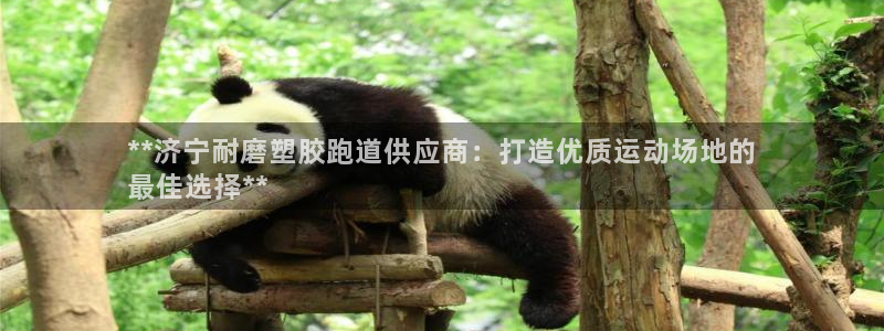 尊龙凯时的企业文化：**济宁耐磨塑胶跑道供应商：打造优质运动场地的
最佳选择**