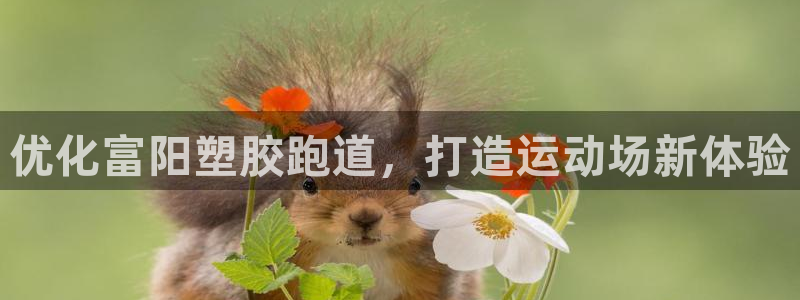 尊龙凯时公司官网：优化富阳塑胶跑道，打造运动场新体验