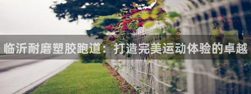 尊龙人生就是博菲律宾台子：临沂耐磨塑胶跑道：打造完美运动体验的卓越