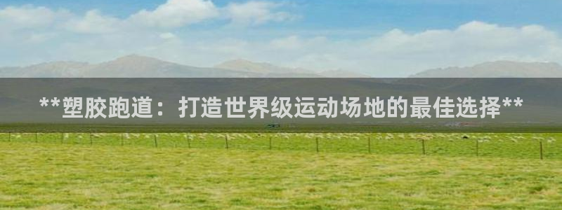尊龙集团有限公司招聘：**塑胶跑道：打造世界级运动场地的最佳选择**