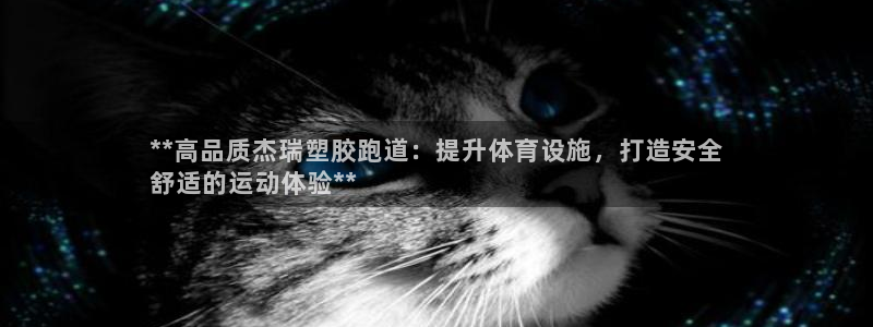 尊龙官网网站：**高品质杰瑞塑胶跑道：提升体育设施，