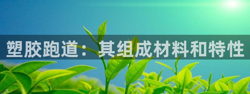 凯时尊龙app国际官方网站：塑胶跑道：其组成材料和特性