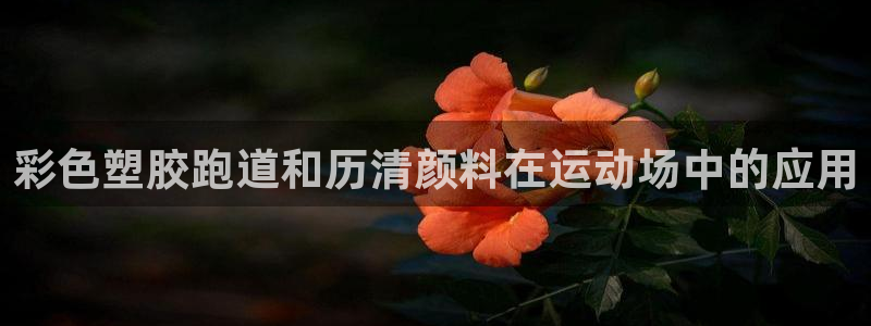 ag尊龙官方网站app：彩色塑胶跑道和历清颜料在运动场中的应用