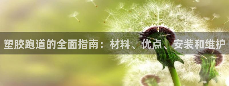 凯时app官方首页：塑胶跑道的全面指南：材料、优点、安装和维护