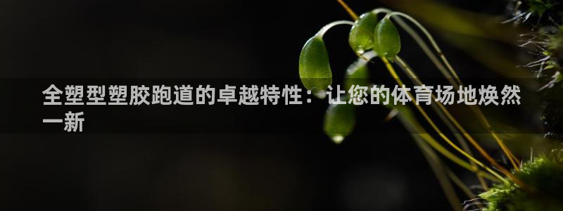 尊龙400：全塑型塑胶跑道的卓越特性：让您的体育场地焕然
一新