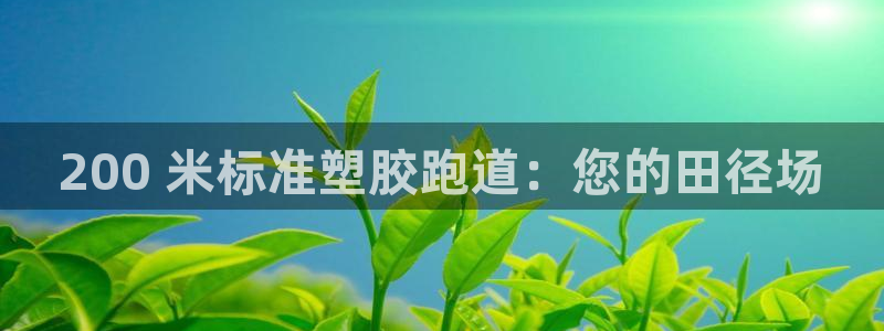 尊龙人生就是博用现金玩一下：200 米标准塑胶跑道：
