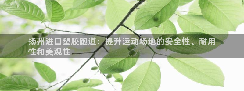 尊龙旗舰app：扬州进口塑胶跑道：提升运动场地的安全性、耐用
性和美观性