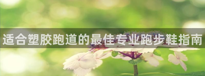 尊龙手机官方客户端下载安卓：适合塑胶跑道的最佳专业跑步鞋指南