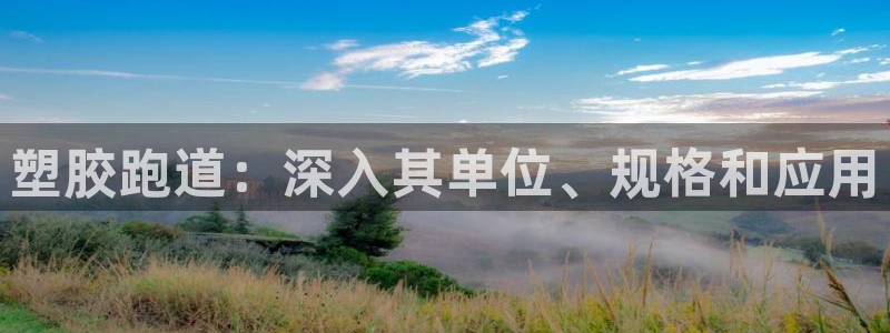 尊龙贴吧：塑胶跑道：深入其单位、规格和应用