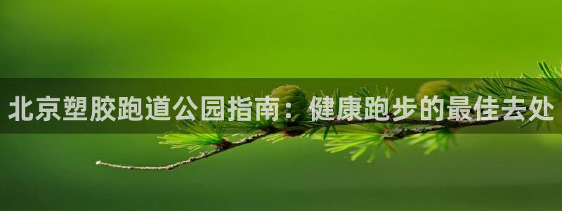 尊龙凯时总部在哪里：北京塑胶跑道公园指南：健康跑步的