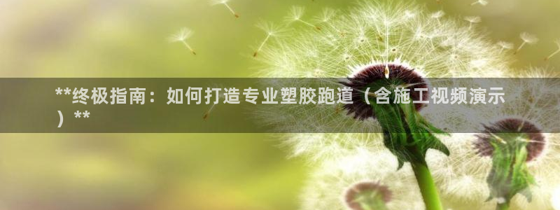 尊龙凯时处理未到账：**终极指南：如何打造专业塑胶跑