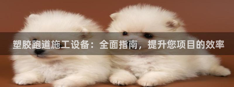尊龙人生就是博官方官网： 塑胶跑道施工设备：全面指南，提升您项目的效率