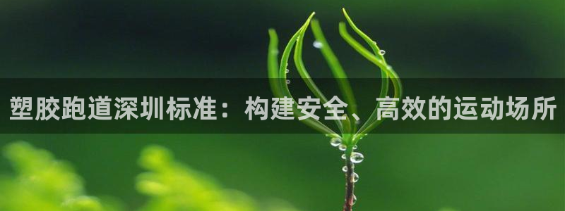 尊龙凯时电竞注册：塑胶跑道深圳标准：构建安全、高效的