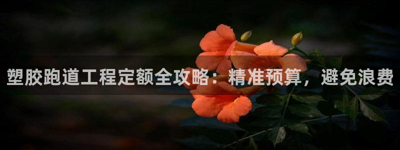 z6com尊龙凯时百家乐：塑胶跑道工程定额全攻略：精