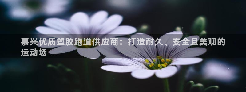 凯时国际app首页登录：嘉兴优质塑胶跑道供应商：打造耐久、安全且美观的
运动场
