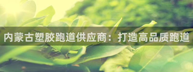 尊龙旗舰厅app：内蒙古塑胶跑道供应商：打造高品质跑