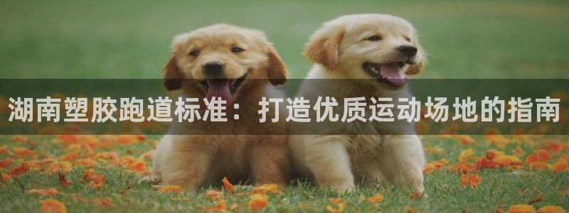 尊龙人生就是博登录：湖南塑胶跑道标准：打造优质运动场地的指南