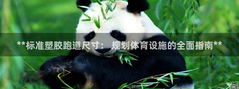 尊龙官网手：**标准塑胶跑道尺寸： 规划体育设施的全面指南**